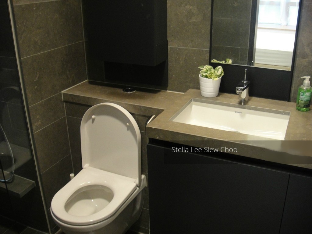 Skysuites@Anson (D2), Apartment #128636322